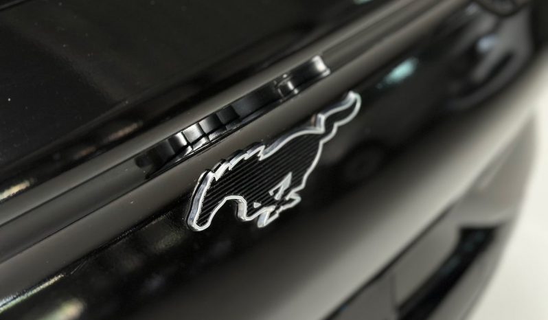 Ford Mustang Mach-E full