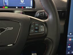 Ford Mustang Mach-E full