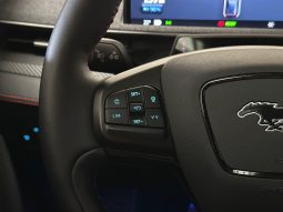 Ford Mustang Mach-E full