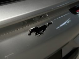 Ford Mustang Mach-E full