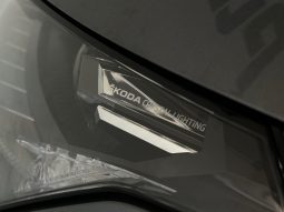 Skoda Enyaq full