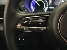 Mazda MX-30 full